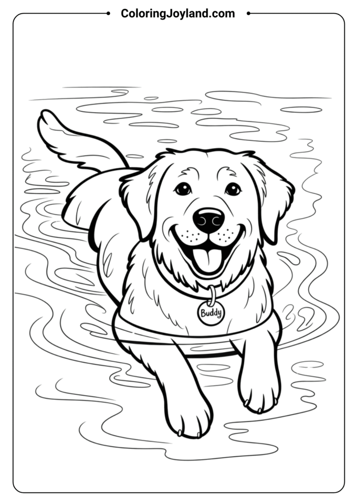 Swimming Dog Splashing