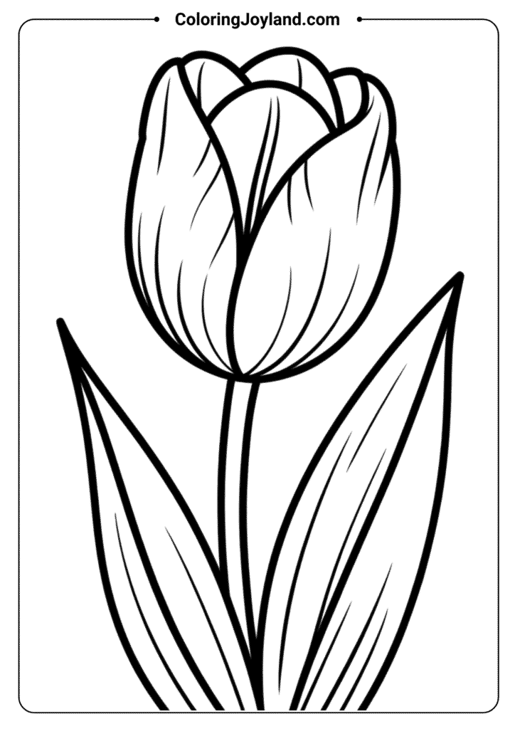 Tulip Standing Tall